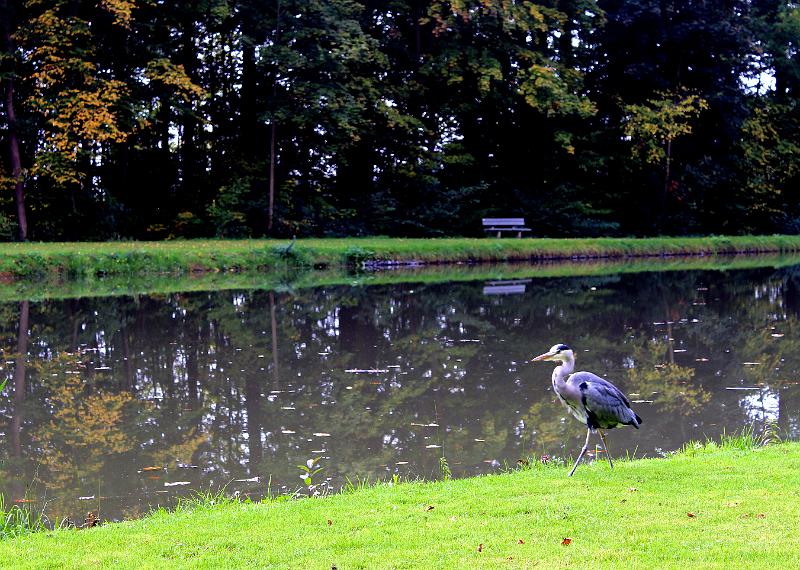 MG Herfstwandeling op 18-10-2015, org. Judith & Monke Menten (3).jpg